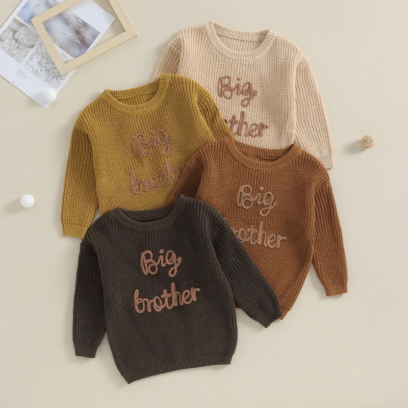 Baby/Toddler Sweaters Cotton Long Sleeve Embroidery big brother little brother