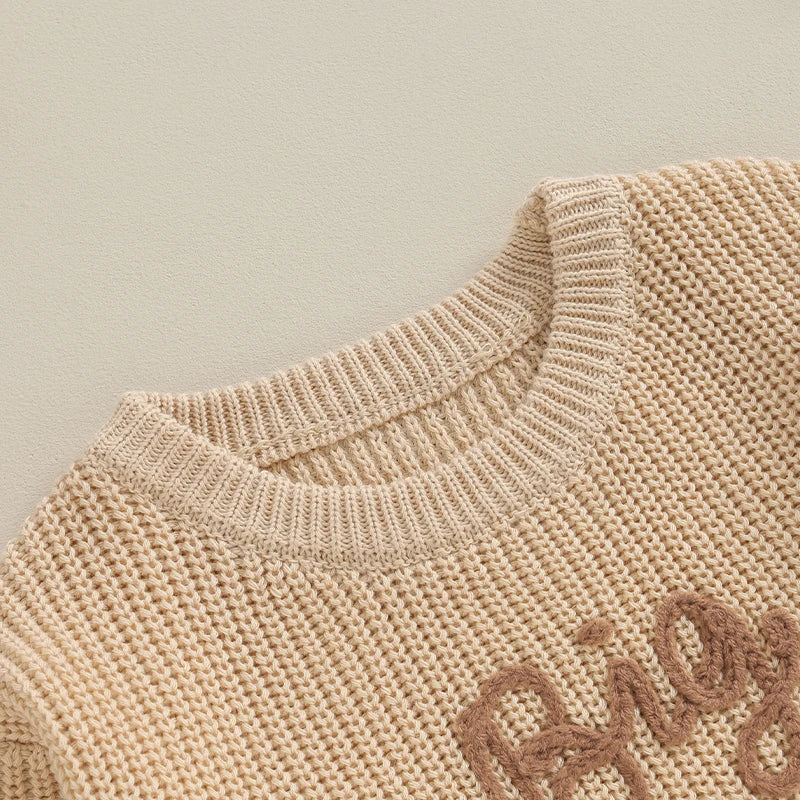 Baby/Toddler Sweaters Cotton Long Sleeve Embroidery big brother little brother