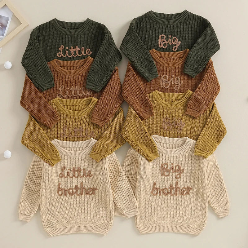 Baby/Toddler Sweaters Cotton Long Sleeve Embroidery big brother little brother