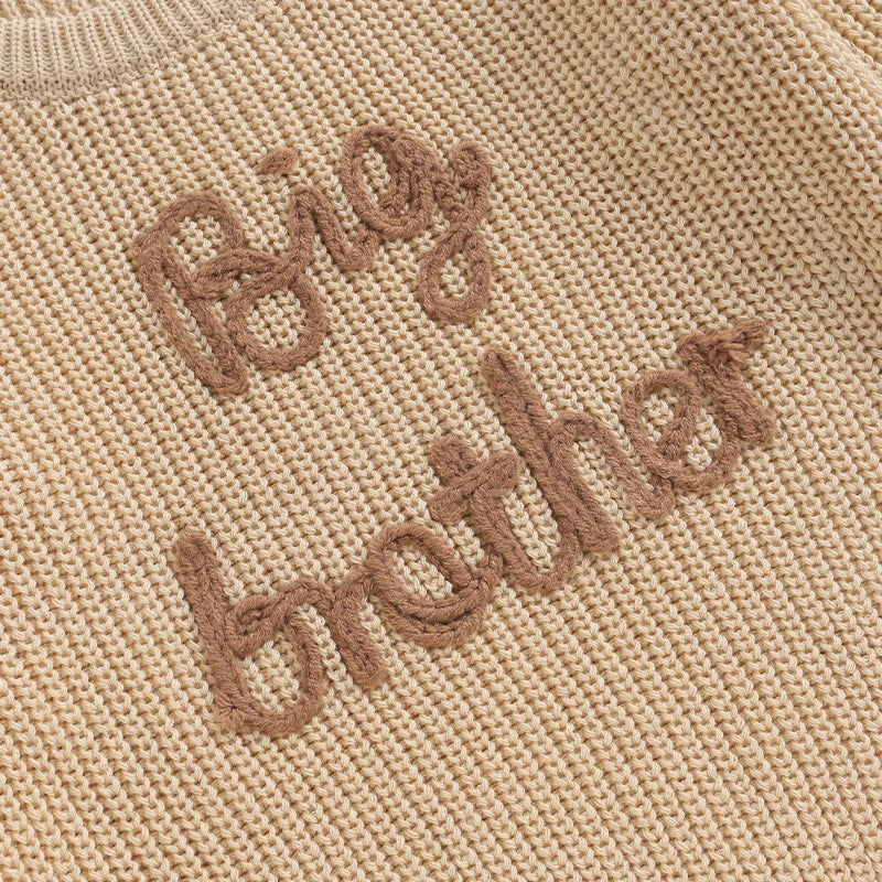 Baby/Toddler Sweaters Cotton Long Sleeve Embroidery big brother little brother